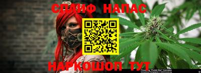 PSILOCYBIN Новокубанск